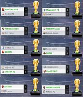 Click image for larger version. 

Name:	cup finals 13 won trophy.jpg 
Views:	24 
Size:	55.6 KB 
ID:	116627
