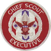 Platinum Association looking for next Superstar Manager-chief_scout_executive.png
