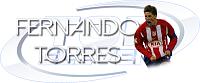 Jugador -Fernando Torres-torres.jpg
