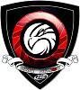 Desain Logo Liga Dummy Sub-Forum Indonesia-allinterdepence1-resize-.jpg