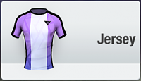 Club shop, jerseys, emblems and more-sponsorkit1.png