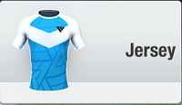 Club shop, jerseys, emblems and more-sponsorkits135.png