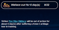 BvB - Injury Log-peewee_6day.png