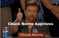 Boris Beck on TopEleven-approves-chuck-norris.jpg