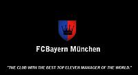 FCBayern München (Spanish team)-bayern-btmw.jpg