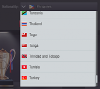 Palestine national flag-screenshot-2018-5-10-play-top-eleven-football-manager.png
