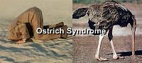 [Official] Challenge #3 - All Out Attack Challenge-ostrich-syndrome.jpg