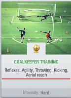 What about when i want to train my GK???-goalkeeper-training.jpg