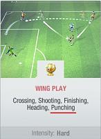 What about when i want to train my GK???-wing-play.jpg