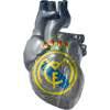 Guzman Gil's Avatar