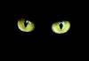 redstreet's Avatar