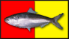SubhasisC's Avatar