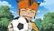 Inazuma Eleven's Avatar