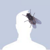 swimstd's Avatar