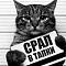 Vitaliy Gergeluyk's Avatar