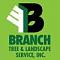 Branchtree's Avatar