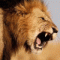 The_King's Avatar