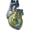 Real Madrid CF's Avatar